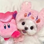Mia Franco's profile picture