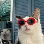 Helena Tovar's profile picture